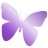 papillon violet de vie de femme